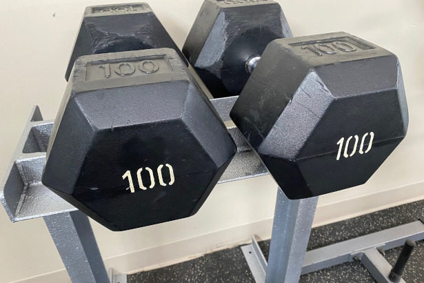 100 Pound Dumbbells