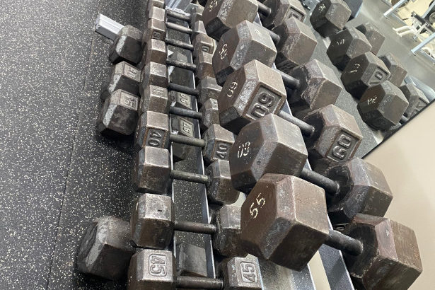 Range Of Dumbbells